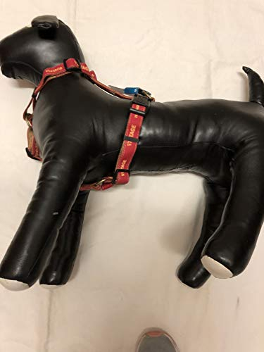 TRIXIE Vintage Geschirr (M-L) 50-75 cm/ 25 mm