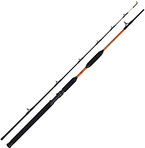 WFT Jakub Vagner N.C. Bank Cat 200-1000g 3,15