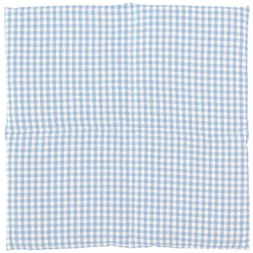 Bio-Bio Dinkelkissen 40x40cm 4-Kammer XXL Bio Füllung & Bio Stoff hellblau-weiß - Wärmekissen Körnerkissen