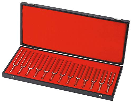 Wittner 924440 33 Stimmgabel