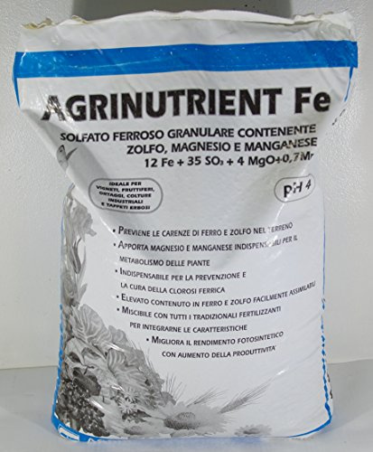 AGRINUTRIENT SOLFATO FERROS0 GRANULARE DA 25 KG