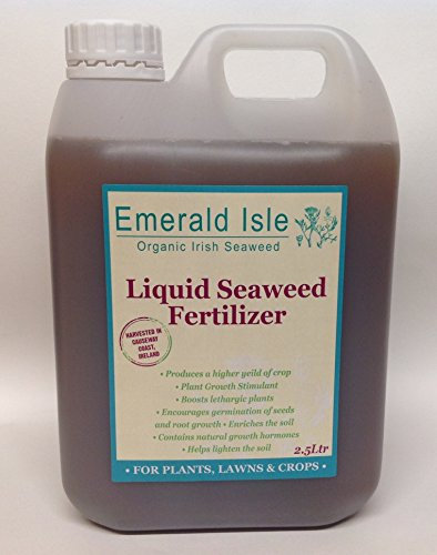 Organic Seaweed Liquid Kelp Fertiliser For Gardens, Flowers, Lawns, Shrubs, Organic certification IOFGA (5L)