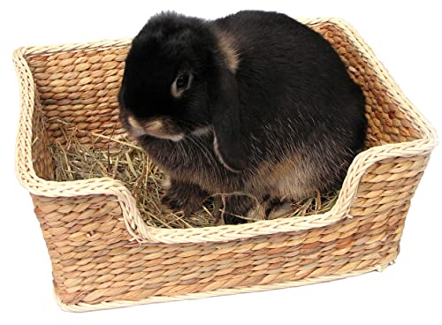 Rosewood Naturals Chill 'n' Snooze Bed, Small Animal Sleeper, Natural Materials Hand Woven for Rabbits, Guinea Pigs, Ferrets, Chinchillas, Degus and Rats, 33cm x 26cm