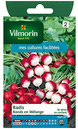 VILMORIN Radis ronds en melange Gaudry 2 / Jolly