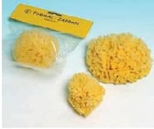 Spugna-Mare N.3 Grande