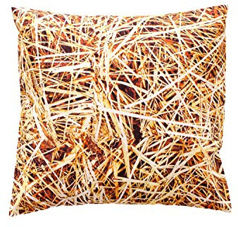 Miniblings kudde barnkudde baby dekorationskudde 25 x 25 cm halm heu Wiese Country