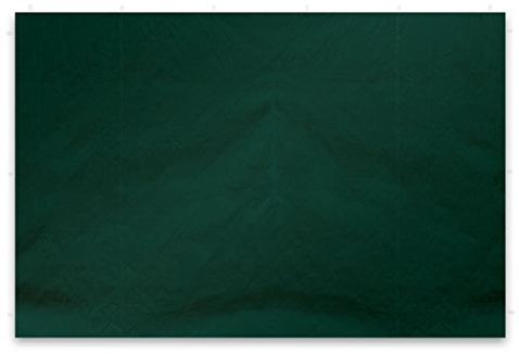 Nexos 2 Stück Seitenwände Seitenteile Ersatzwände ohne Fenster für Falt-Pavillon – 295 x 215 cm/PE 180 g/m² – hochwertig wasserabweisend – grün
