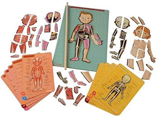 Janod - Bodymagnet - Jeu Éducatif Corps Humain - Apprentissage Anatomie, Organes, Squelette, Muscles - 76 Pièces Aimantées - Dès 7 Ans - 12 Langues, J05491 Multicolore