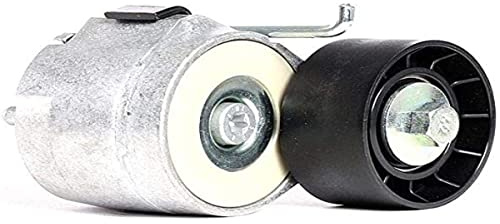 DAYCO APV1078 Tensor de Correa, Correa Poli V