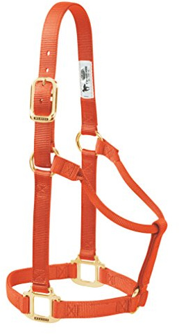 Väv läder original icke-justerbar nylon hästgrimma stor, orange