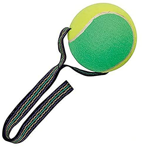 Arppe 3011010100 Tennis Megaball für Hunde