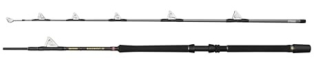 Penn Regiment IV Roller Bootsrute, Salzwasser Angler Angeln Seefisch Kabeljau, Aal, Barsch, Seelachs, Makrele, Hai, Starkes Leichtgewicht & Vielseitig, Silber, 2.00m Mäßig Schnelle Beidhändige Rute