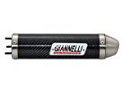 GIANNELLI Motorrad 2-Takt RS50 PL GPR50 GR