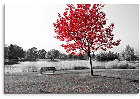 Paul Sinus Art 120x80cm Leinwandbild auf Keilrahmen Park Bank Teich schwarz weiß Baum rote Blätter Wandbild auf Leinwand als Panorama