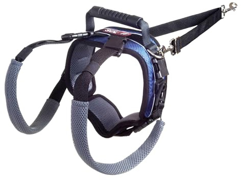 PetSafe CareLift Heckstützgeschirr – Hebehilfe mit Griff und Schultergurt – ideal für Haustier-Mobilität und ältere Hunde – bequemes, atmungsaktives Material – einfach zu verstellen, schwarz, groß
