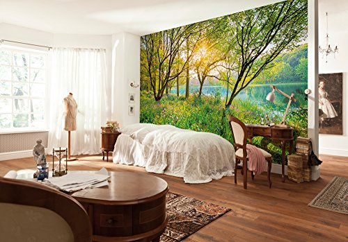 Komar 8-524 368 x 254 cm National Geographic Spring Lake Lakeside Scenic Wallpaper Mural - Green (Pack of 8)