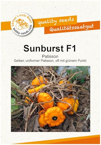 Sunburst F1 Kürbissamen von Bobby-Seeds, Portion
