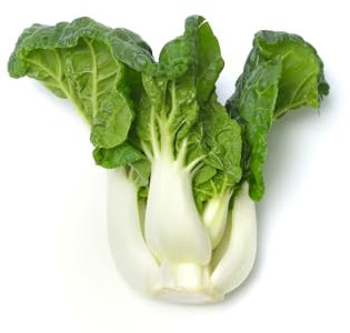 Just Seed Pak Choi - Dwarf Canton White - 4000 Seeds - Large Pack