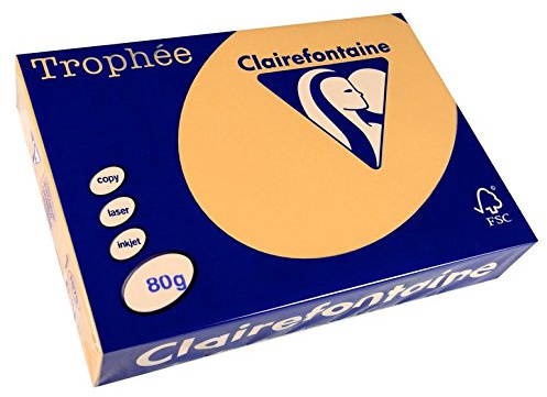 Clairefontaine 1879C - Ries mit 500 Blatt Druckerpapier / Kopierpapier Trophée, DIN A4 (21x29,7 cm), 80g, Kamelbraun Pastellfarbe, 1 Ries