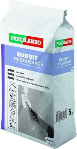 Parexlanko Enduit de Bouchage 5kg