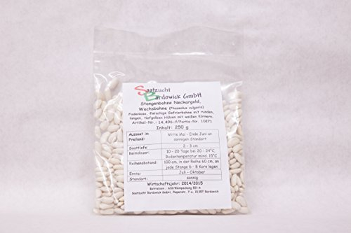 Stangenbohne Neckargold - Wachsbohne/Großpackung 250g - ertragreiche Bohne
