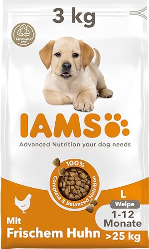 IAMS Junior cibo secco per cani con pollo - Cibo per cuccioli da 1 a 12 mesi, adatto a razze di taglia grande, 3 kg
