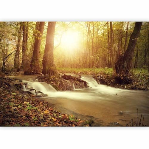 Fotomurales B&D XXL 250x175 cm Papel pintado tejido no tejido Decoración de Pared decorativos Murales moderna Diseno Fotográfico naturaleza bosque arboles paisaje c-B-0089-a-b