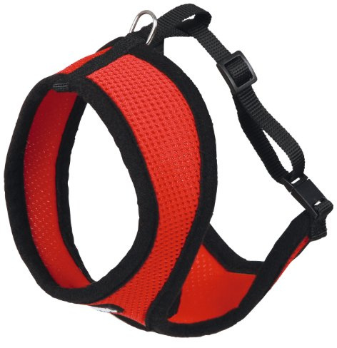Kerbl 82644 Katzengeschirr Active mit Leine 120 cm, rot