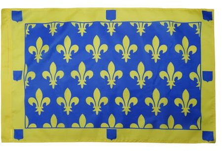 AZ FLAG Drapeau Yvelines 150x90 cm Drapeau Français Polyester 100D Fourreau | Usage intérieur et extérieur Drapeau décoratif coutures doubles et bords renforcés avec fourreau pour mât