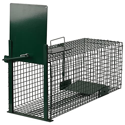 Moorland Safe 5001 Squirrel Trap 60 x 23 x 23 cm Humane Stable Rust-Free Wire Animal Trap Cage Live Trapping of Rats
