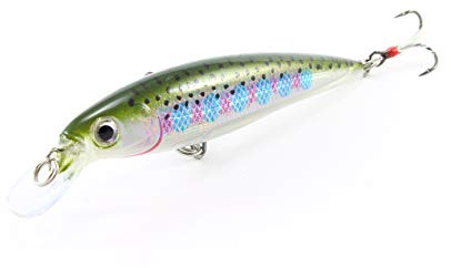 Rapala X-Rap 8 cm 10 cm Wobbler Kunstköder Lure Hecht Zander Farbe RT - Rainbow Trout, Größe 10 cm