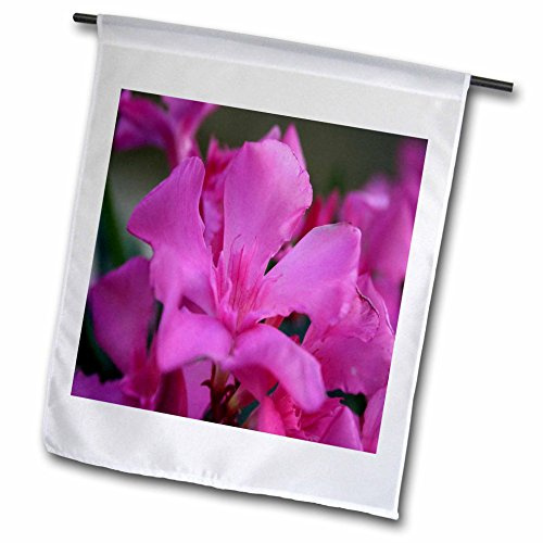 3dRose fl_167477_1 Pink Oleander Flower with Green Leaves in Background-Nerium Oleander Garden Flag, 12 by 18-Inch