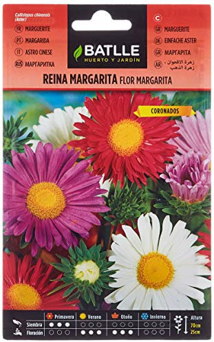 Semillas Batlle Reina Marg. FLOR MARGARITA