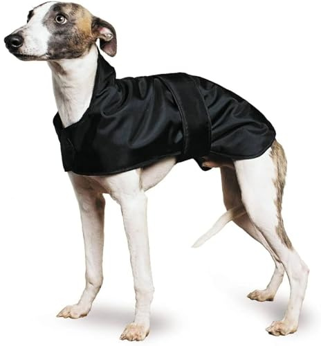 Ancol Muddy Paws Hundemantel für Windhunde, Whippet-Mantel für Hunde, Kälteschutz, wasserabweisendes Nylon mit Schafsfellfutter, Verstellbarer Bauchgurt, Größe M, Schwarz