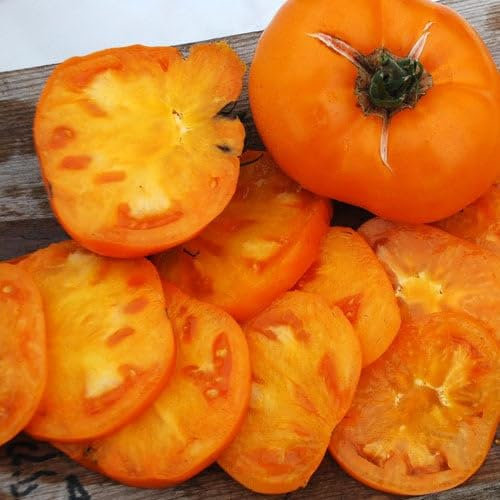 Plant World Seeds - Tomato Brandywine Yellow Seeds (Tomato Seeds)