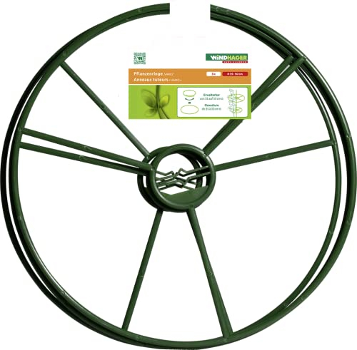 Windhager 6250 - Marcador para Planta para jardín, 30 cm. 3 unidades