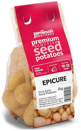 Jamieson Brothers 2kg Epicure Seed Potatoes – JBA Specialty First Early Grow Your Own Spuds – For Boiling, Salads & Mash – Scottish-Grown & Ready to Plant at Home in Pots, Gardens & Allotments