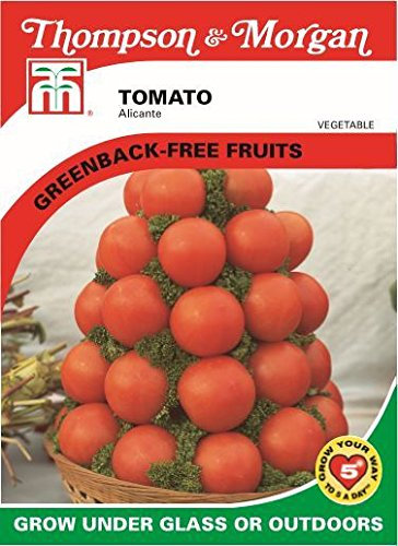 Thompson & Morgan - Vegetables - Tomato Alicante - 75 Seed
