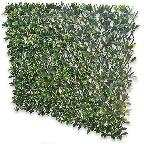 Abaseen Expanding Leaf Trellis Fence with Artificial Green Laurel Leaves, 1m x 2m Garden Privacy Screens Decorative Fences for Garden, Balcony and Outdoor