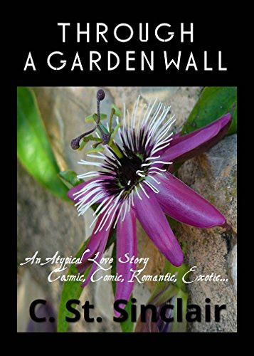 Through A Garden Wall: An atypical love story—cosmic, comic, romantic, exotic…