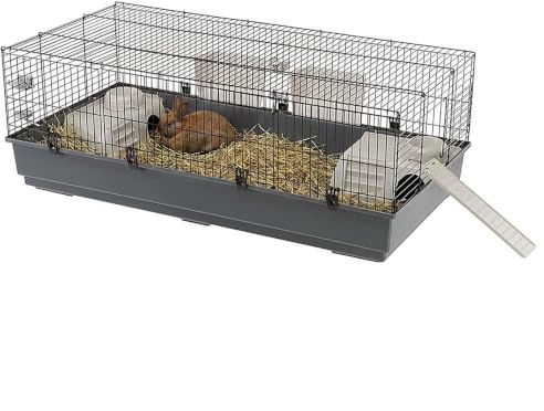 FERPLAST Gnagarbur, kanin 140 för kanin, marsvin, marsvin, av metall, inklusive tillbehör: fodertråg, dryck, skålar, hus, åtkomstramp utifrån. 140 x 71 x h51 cm
