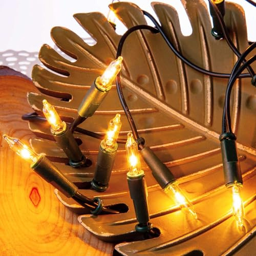 hellum Lichterkette innen strombetrieben, mini Lichterkette 20er Ersatzbirnen klare warme Lichter, beleuchtete 2,85m, Kabel grün 20 Lichter mit Stecker für Weihnachten <59 Lumen 832013