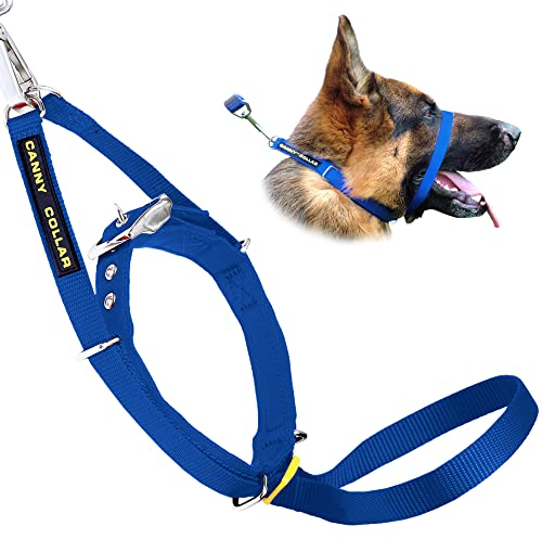 Canny Collar Hundehalfter – Anti-Zug Kopfgeschirr für Hunde | Stoppt Ziehen an der Leine sanft & effektiv | Trainingshilfe für entspannte Spaziergänge – Größe 4, Blau