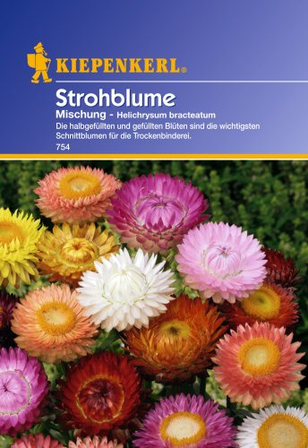 Sperli Blumensamen Strohblumen Mischung, grün