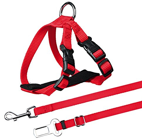 Gurt und Gürtel Sicherheit Katzen, 20 – 50 cm, Rot