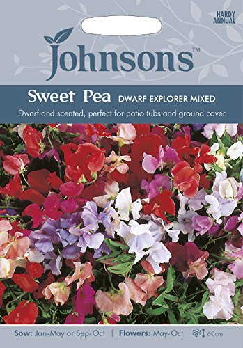 Johnsons 17288 Flower Seeds, Sweet Pea Dwarf Explorer Mixed