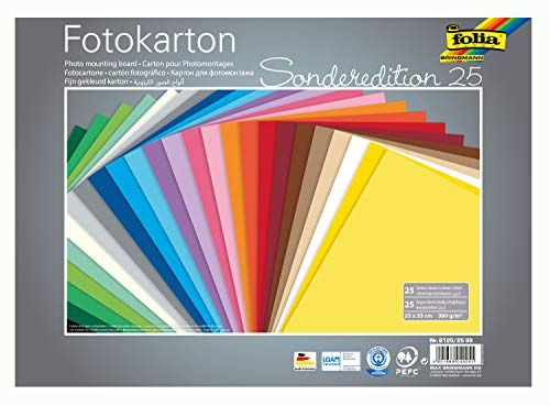 folia 6125/25 99 - Cartón fotográfico (25 x 35 cm, 300 g/m², 25 Hojas Surtidas en 25 Colores)