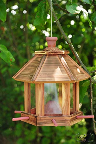 Vogelhaus,wetterfest GEFLAMMT Natur,gefla NEU große Futterfläche, / HOLZHAUS-GEFLAMMT,futterhaus für Vögel,Winterfest-mit Vogelfutter-Station Farbe geflammt gebrannt (schwarz/Natur),Ausführung Naturh