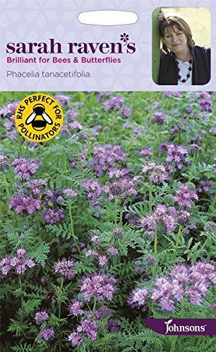 Johnsons - Sarah Raven's Flowers - Phacelia tanacetifolia - 1000 Seeds