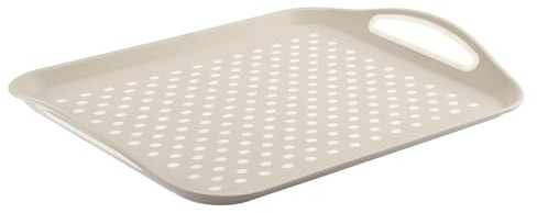 Galicja Molly Plateau de Service de fête rectangulaire en Plastique pour collations, Repas, Biscuits - Grand Plateau rectangulaire en Plastique pour Servir des Aliments et des collations - 45 x 32 x